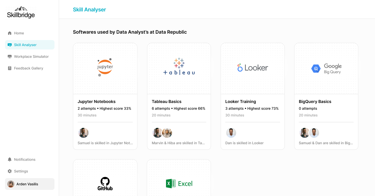 Skill Analyser dashboard showing role-specific software assessments for a Data Analyst at Data Republic